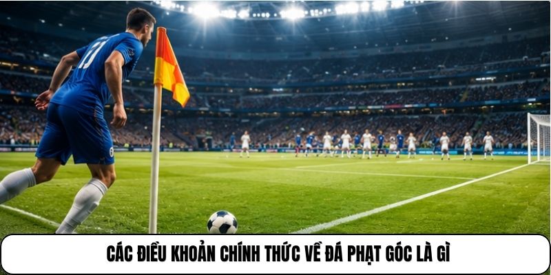 Các điều khoản chính thức về đá phạt góc là gì