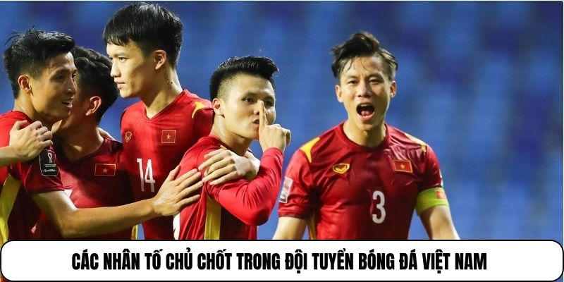 Các nhân tố chủ chốt trong đội tuyển bóng đá Việt Nam