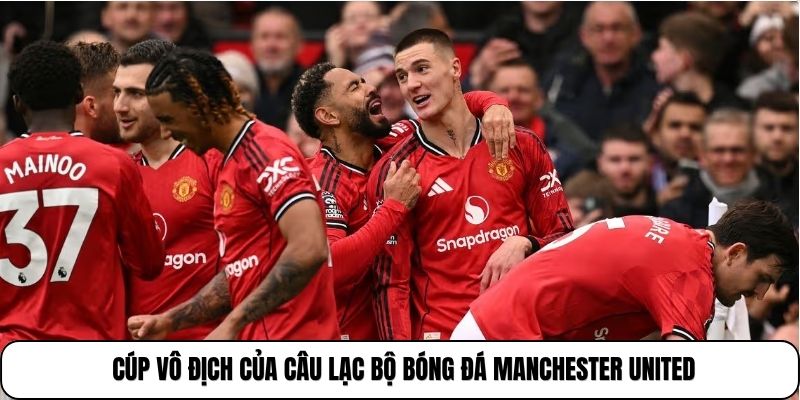 Manchester United | Biểu Tượng Vĩ Đại Của Bóng Đá Nước Anh 3 Cúp vô địch của câu lạc bộ Bóng đá Manchester United