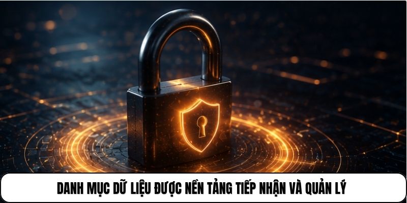 Danh mục dữ liệu được nền tảng tiếp nhận và quản lý